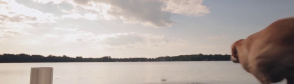 Morando – Spot 2017
